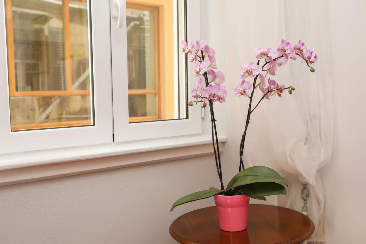 Apartmán Liston Anastasia *